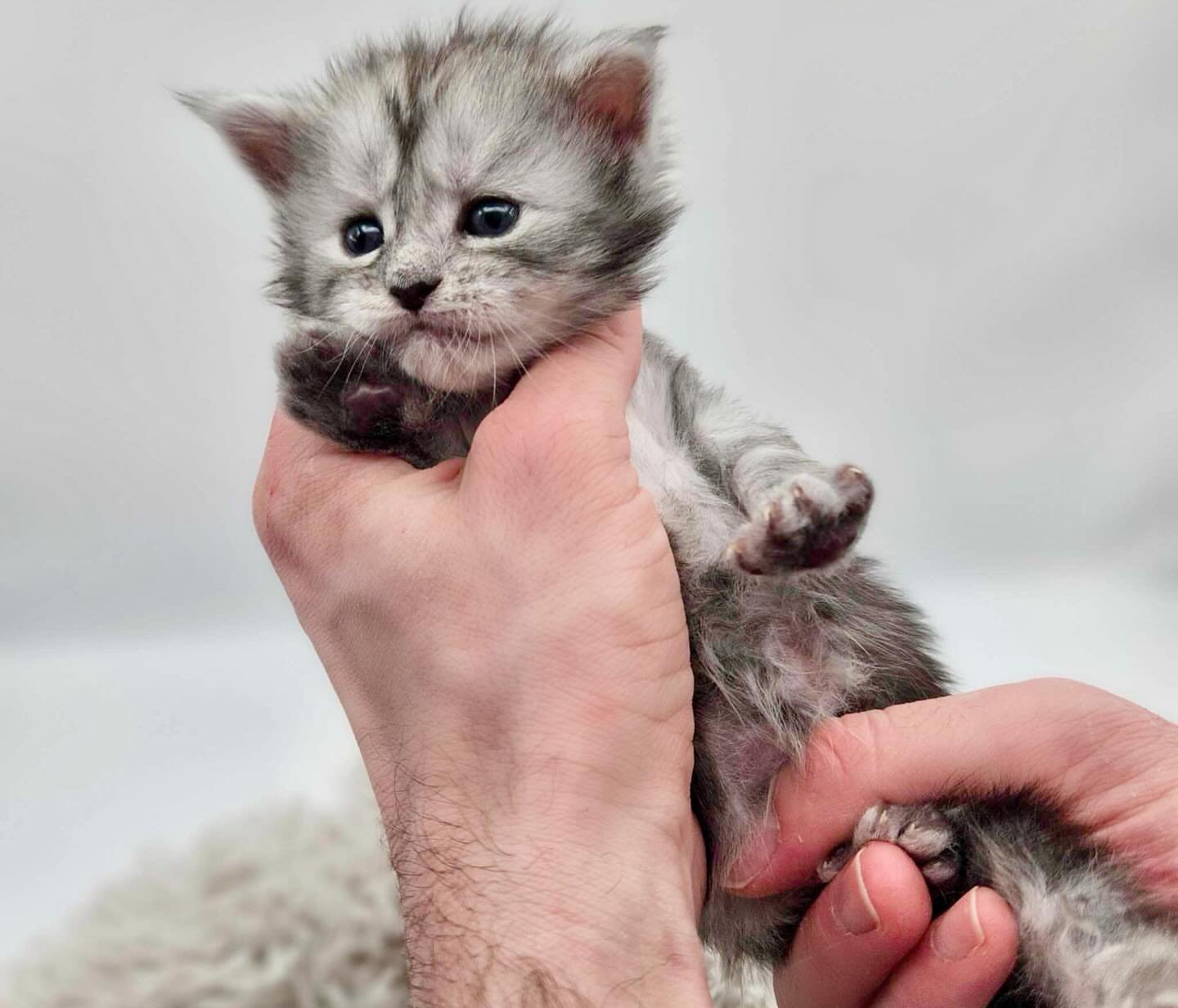 Home 20 IMG 20250703 WA0274