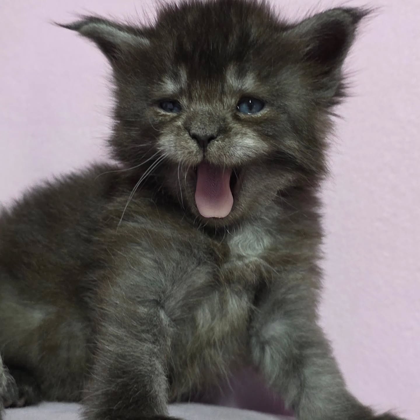 Home 8 IMG 20250703 WA0295