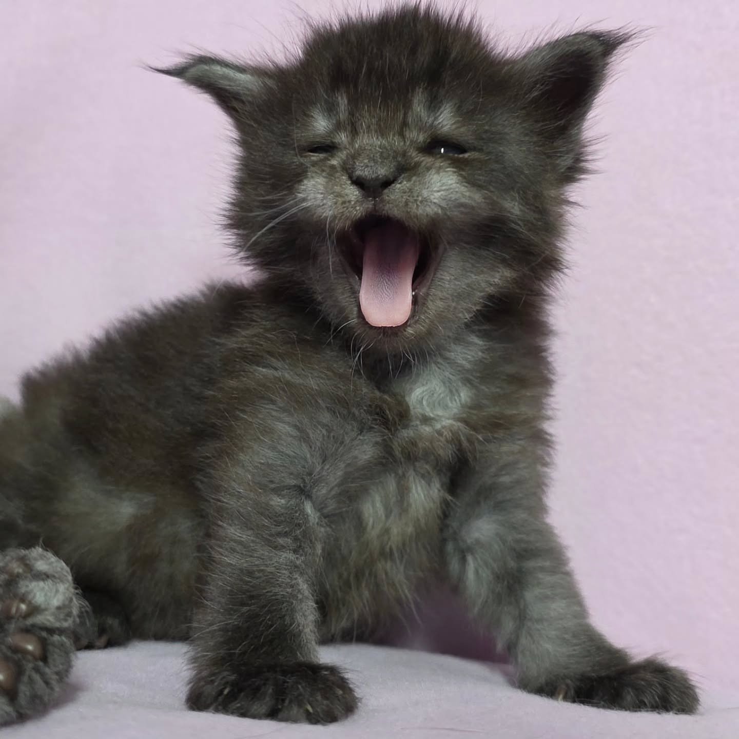 Home 7 IMG 20250703 WA0300