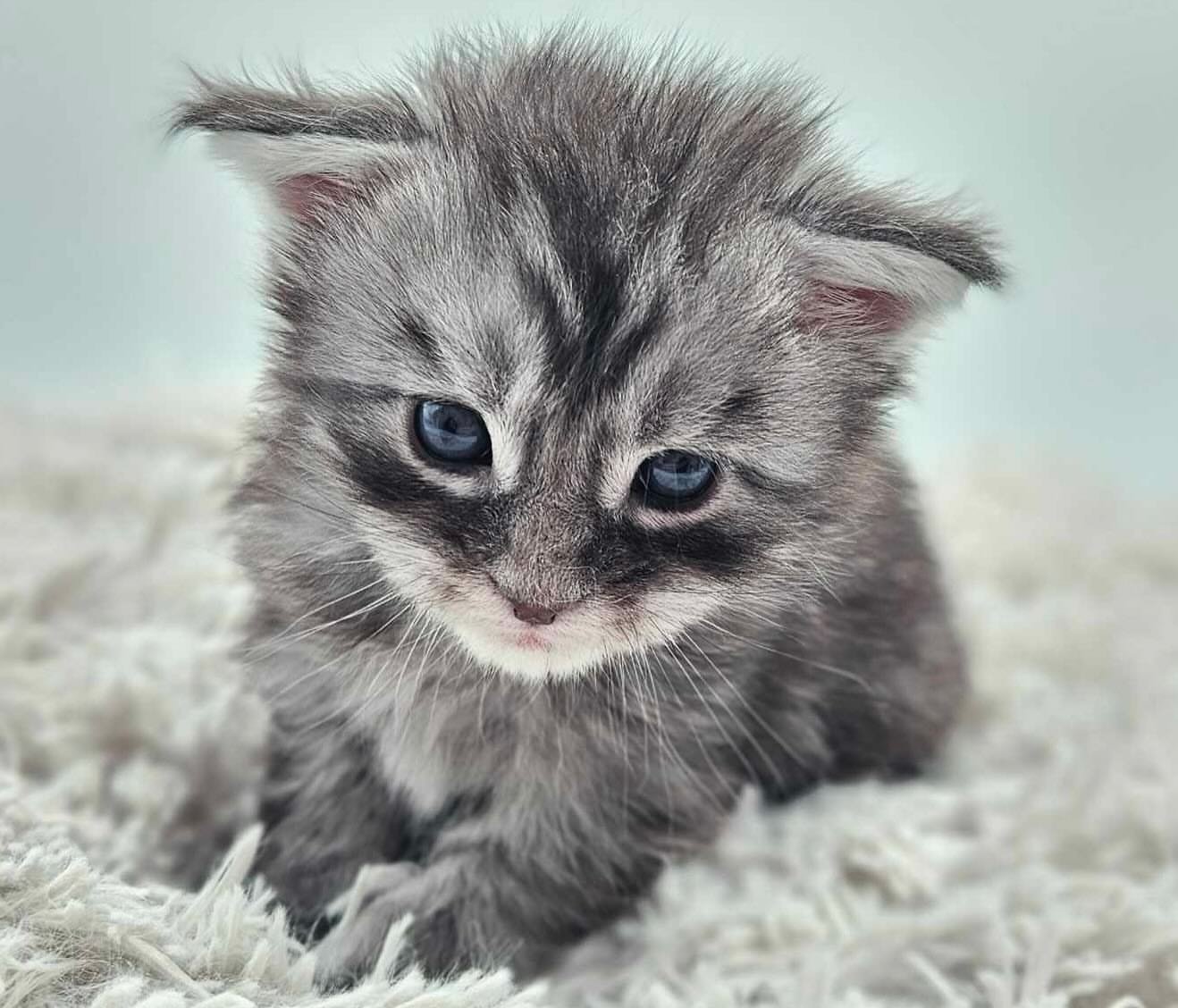 Home 17 IMG 20250703 WA0303 1