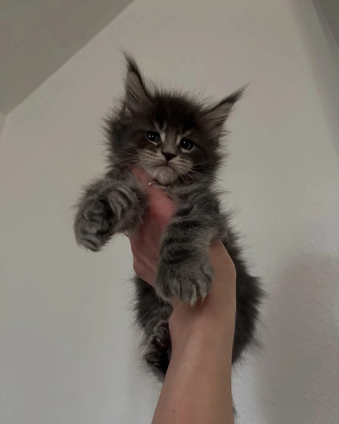 Home 22 IMG 20250703 WA0304