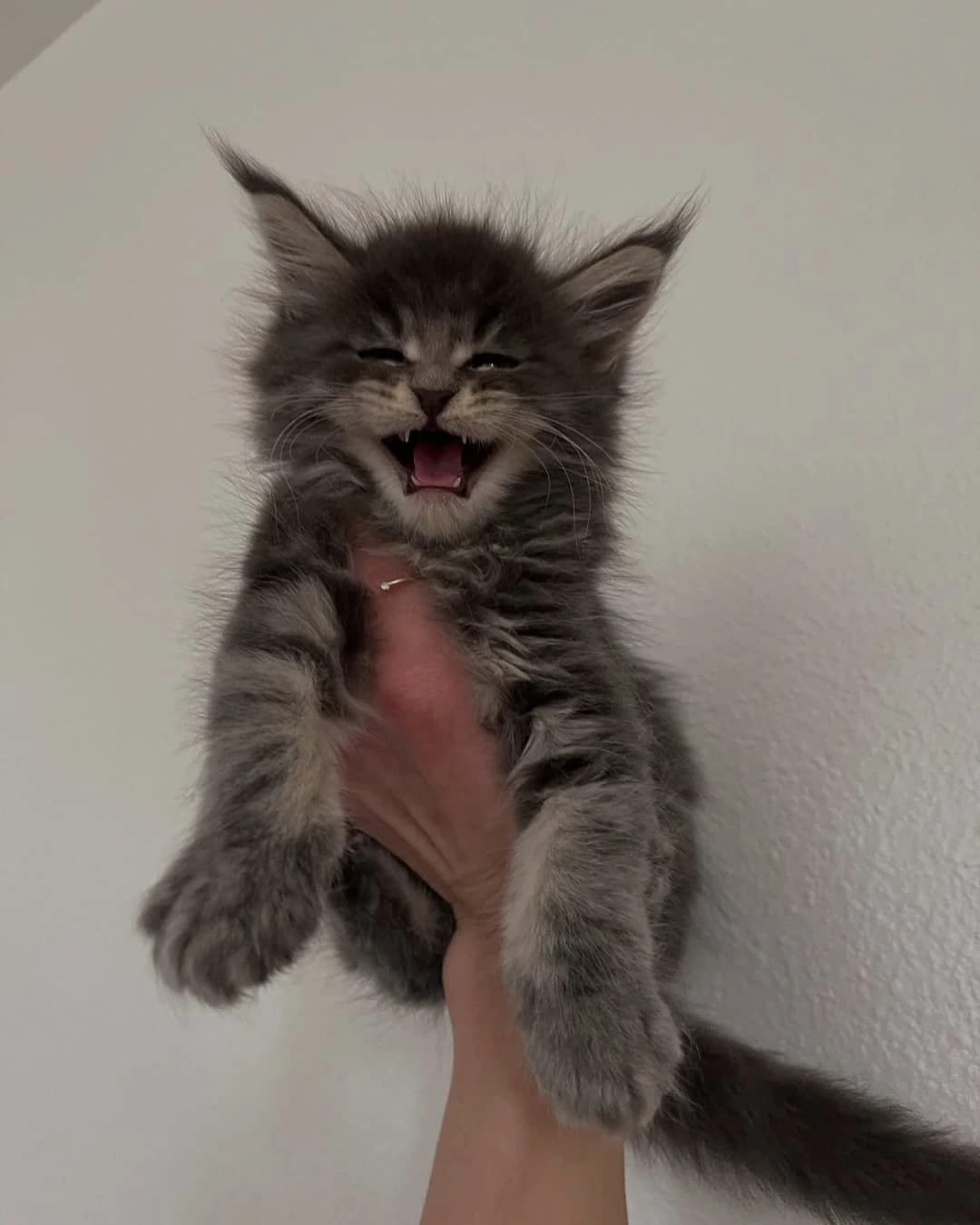 Home 23 IMG 20250703 WA0306