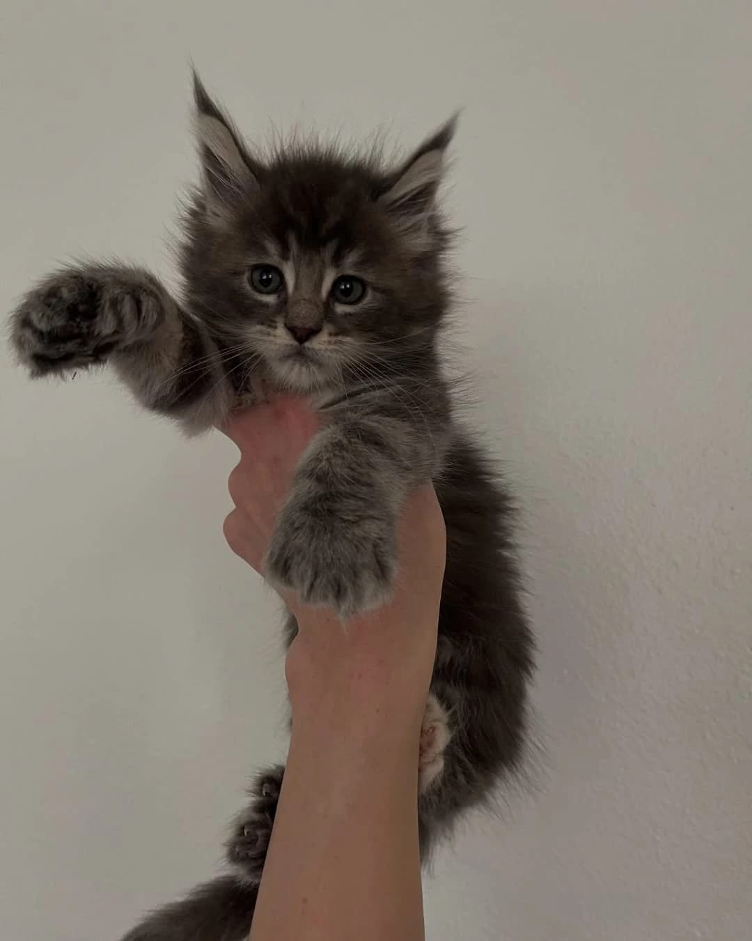 Home 24 IMG 20250703 WA0307