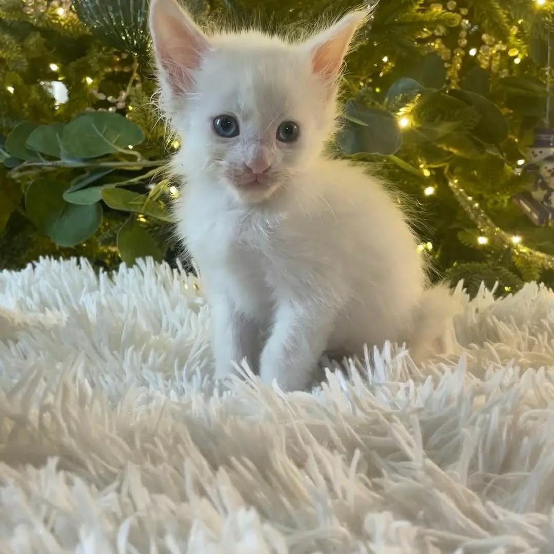 Home 25 IMG 20250703 WA0309