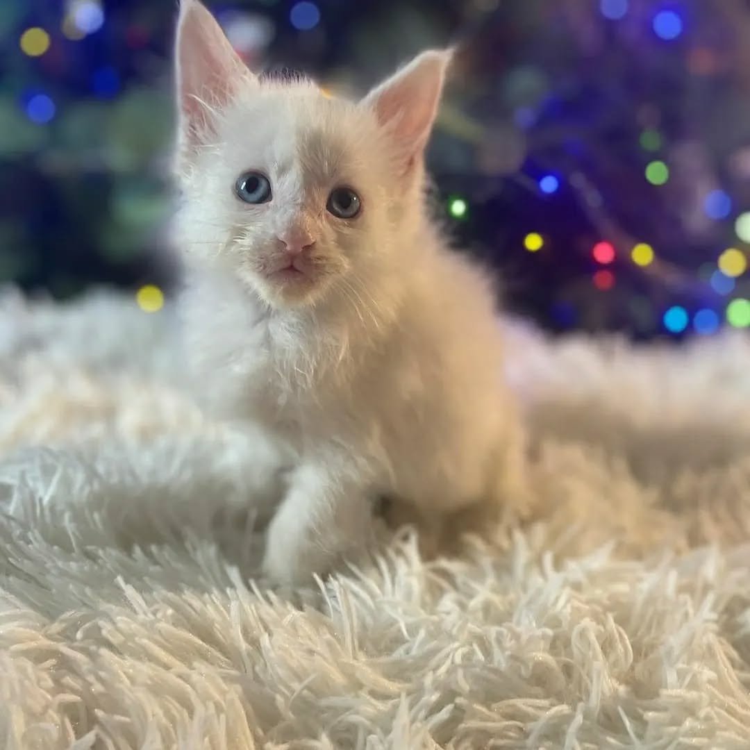 Home 26 IMG 20250703 WA0310