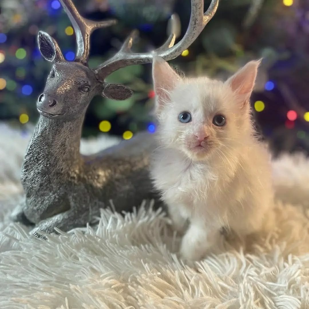 Home 27 IMG 20250703 WA0311