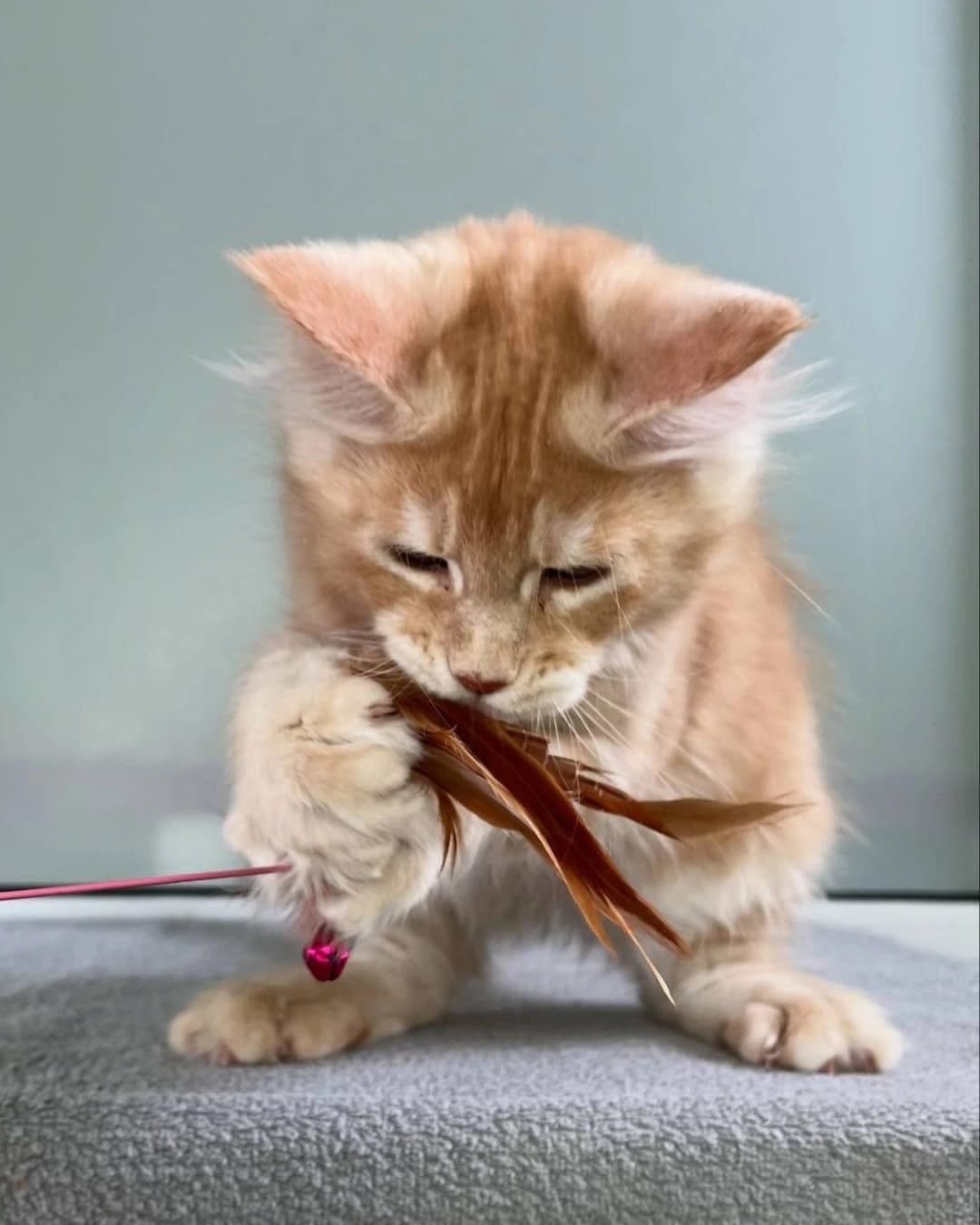 Home 12 IMG 20250703 WA0319