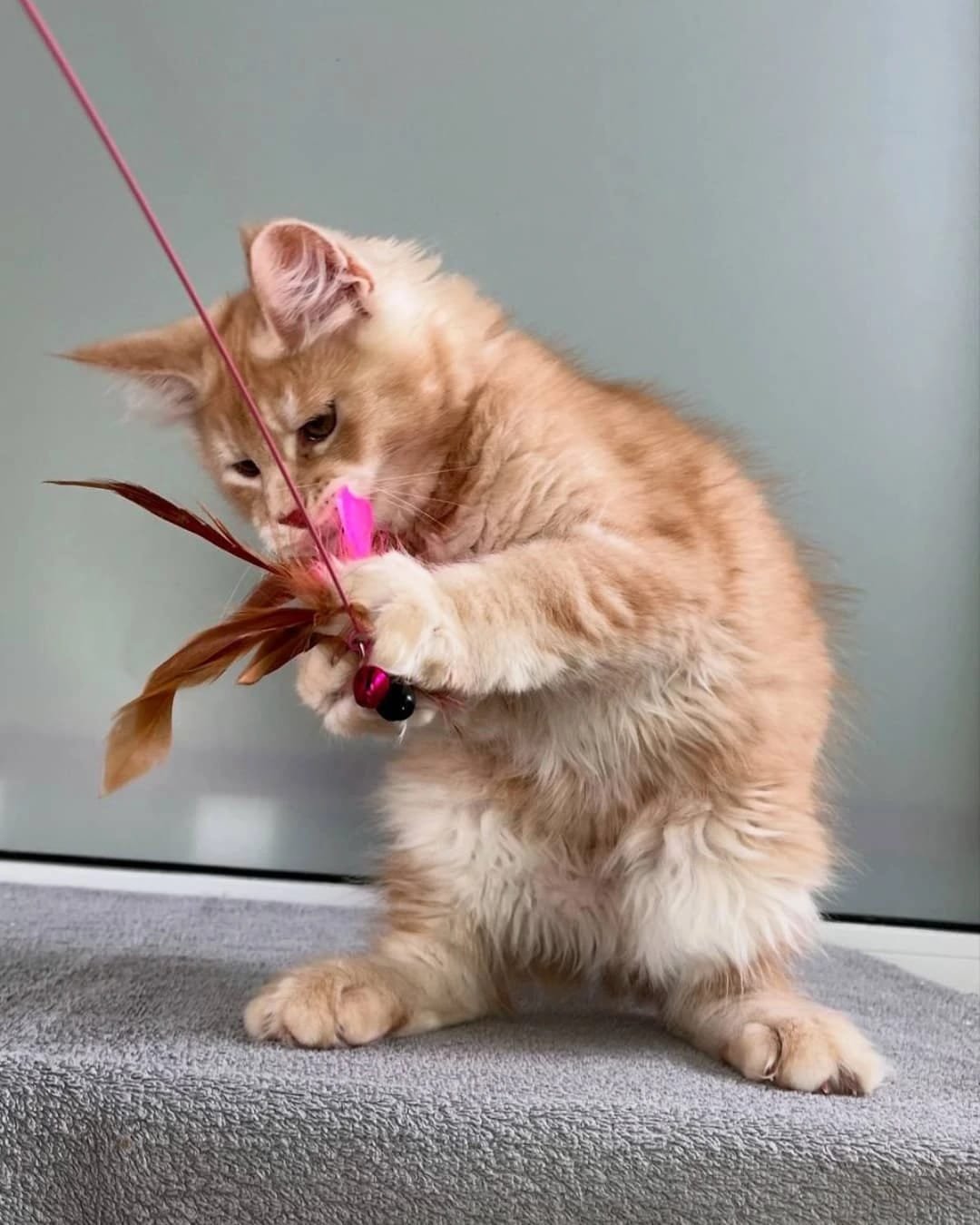 Home 13 IMG 20250703 WA0320