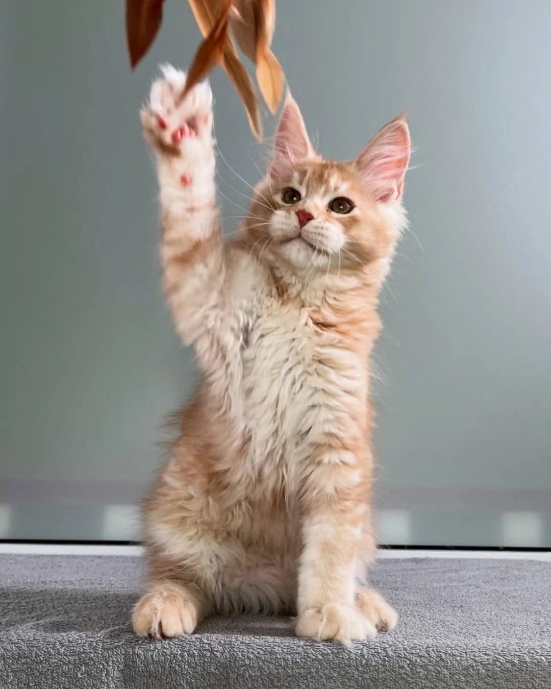 Home 10 IMG 20250703 WA0322