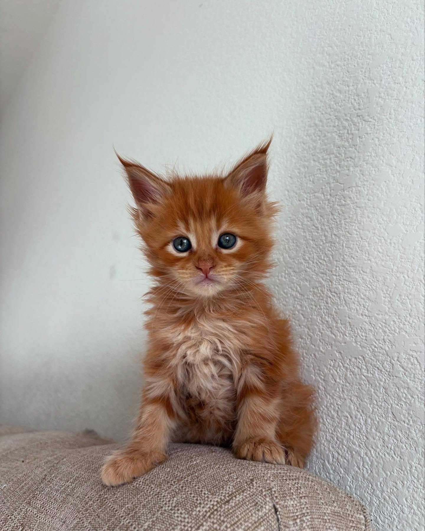 Home 28 IMG 20250703 WA0327