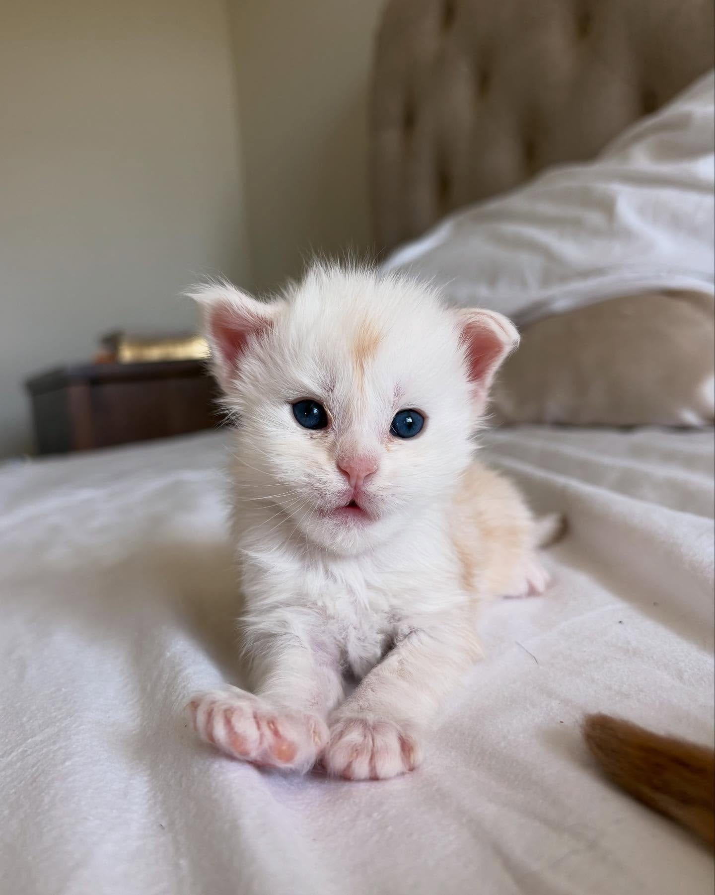 Home 32 IMG 20250703 WA0331