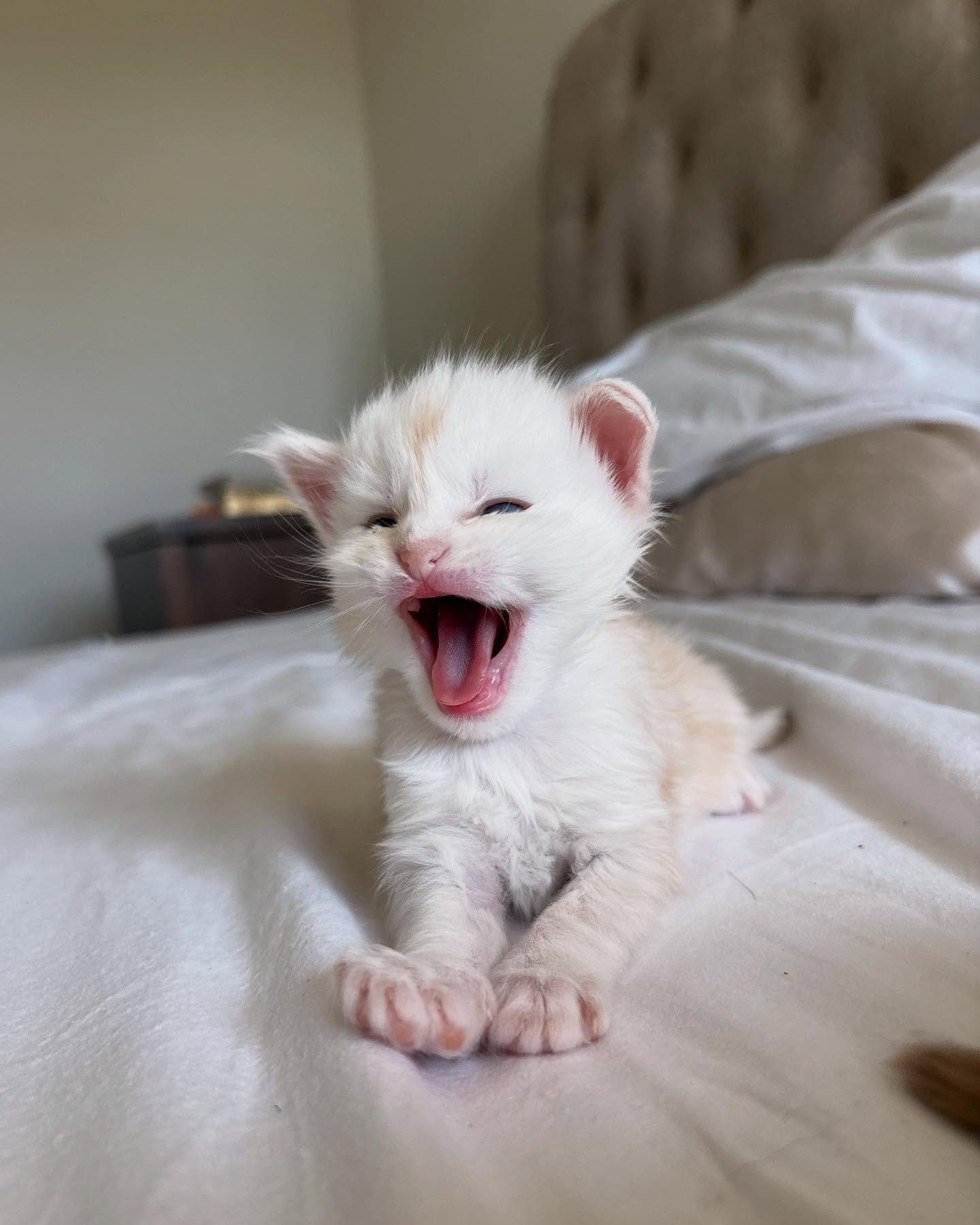 Home 33 IMG 20250703 WA0333